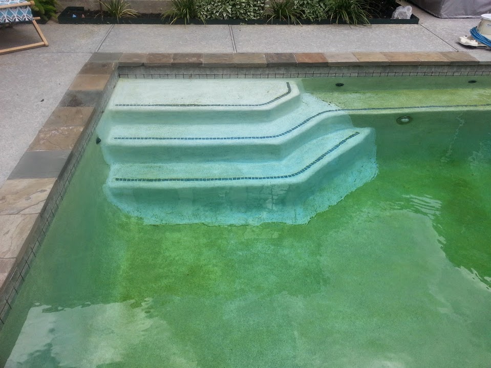 Pool Repair Experts in Houston